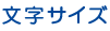 文字サイズ